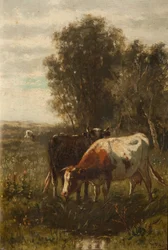 Dwie krowy w krajobrazie